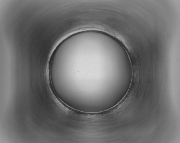 X0000113061516200908281124