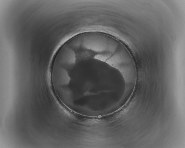 X0000113061517200908281124