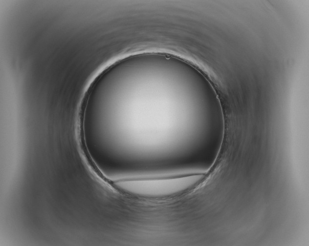 X0000113061518200908281124