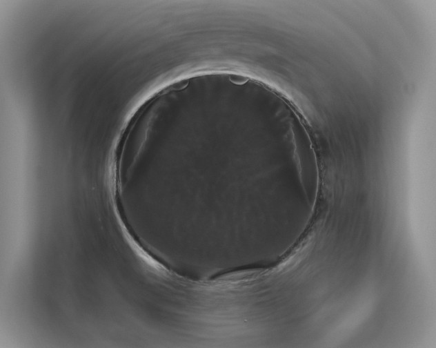 X0000113061519200908281124