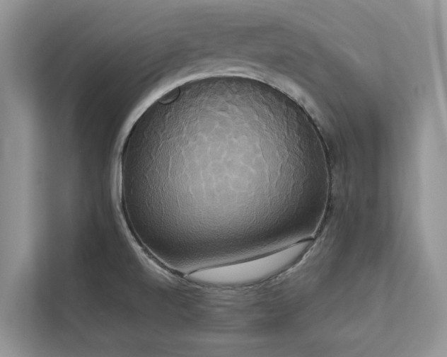 X0000113061520200908281124
