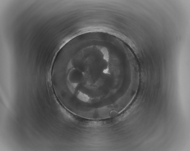 X0000113061521200908281124