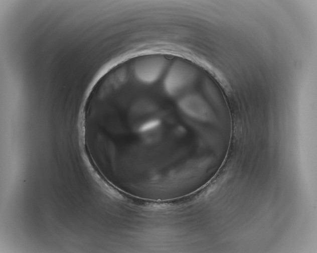 X0000113061522200908281124