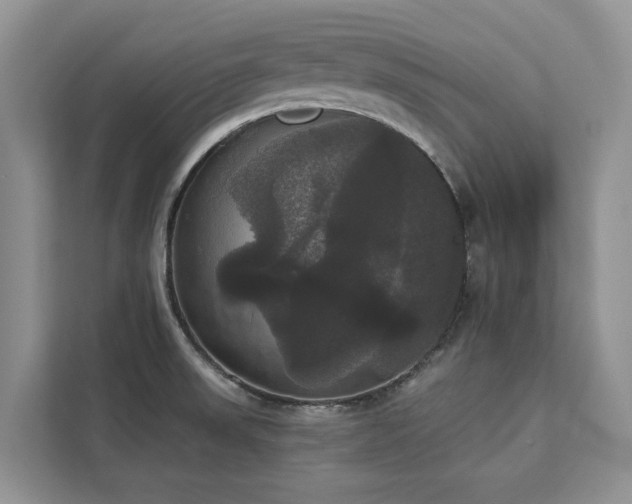 X0000113061523200908281124
