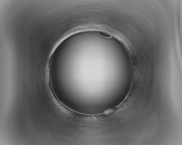 X0000113061524200908281124
