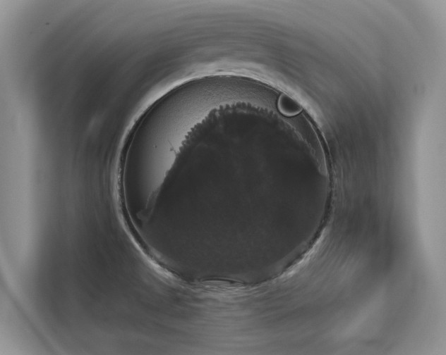 X0000113061525200908281124