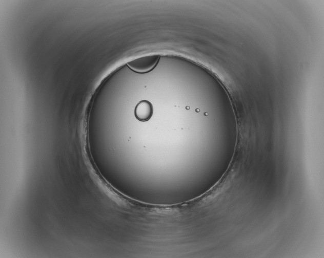 X0000113061526200908281124
