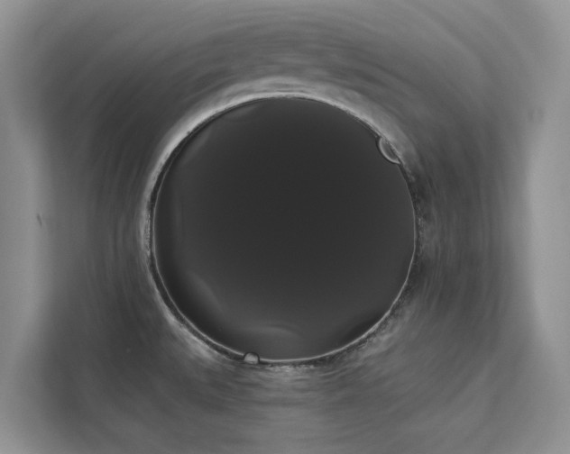 X0000113061527200908281124