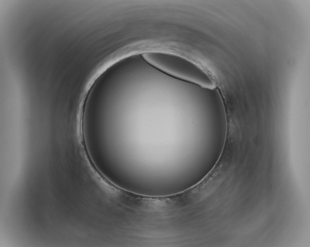 X0000113061528200908281124