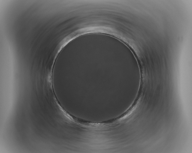 X0000113061529200908281124