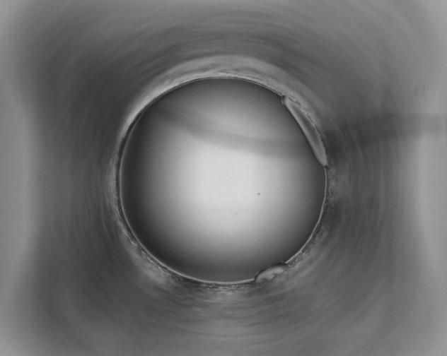 X0000113061530200908281124