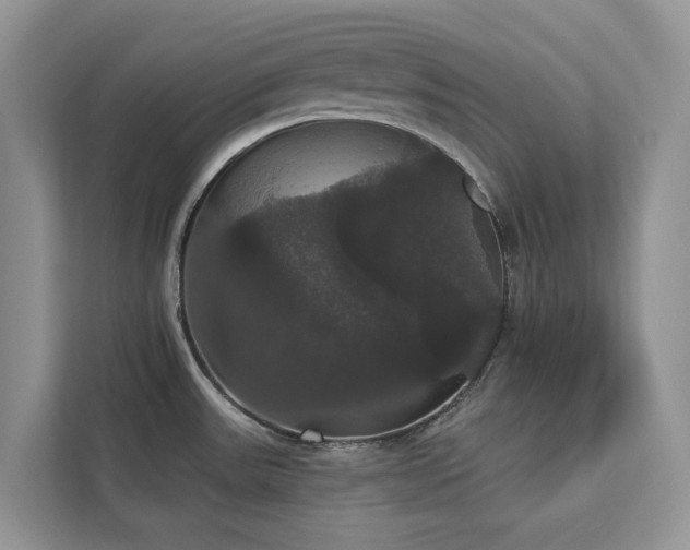 X0000113061531200908281124