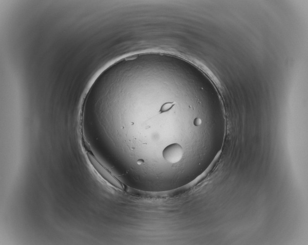 X0000113061532200908281124