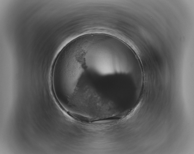 X0000113061533200908281124