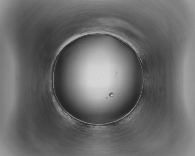 X0000113061534200908281124