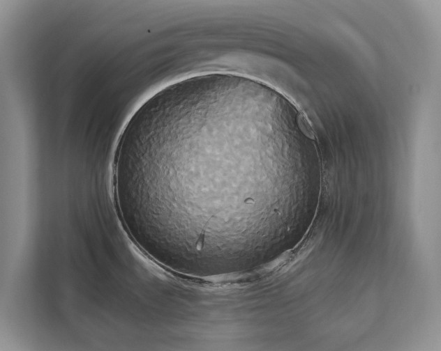 X0000113061535200908281124