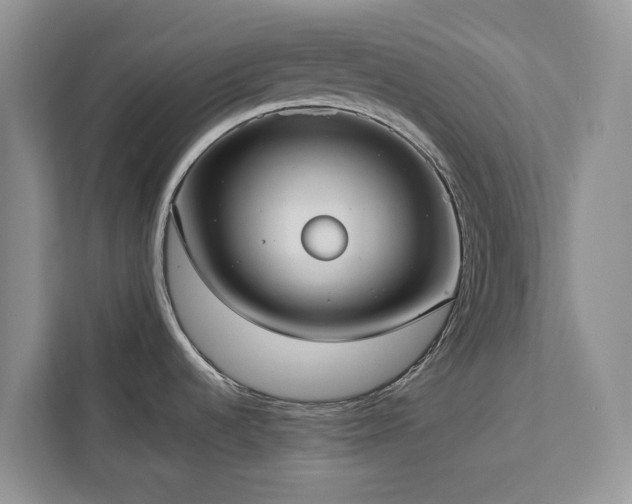 X0000113061536200908281124