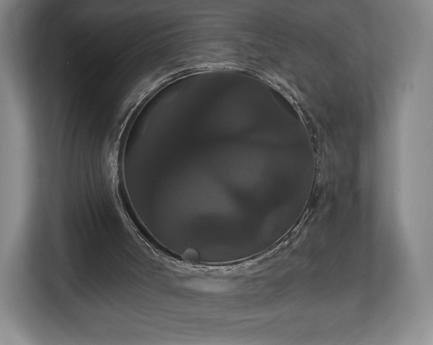 X0000113060002200909041047