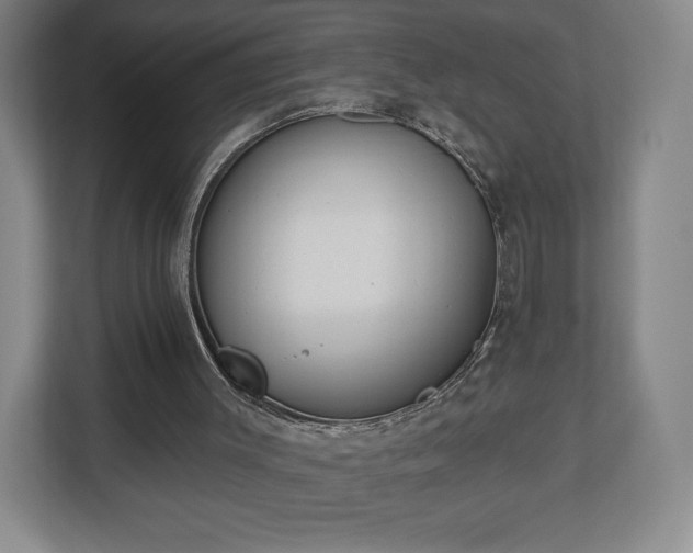 X0000113060003200909041047