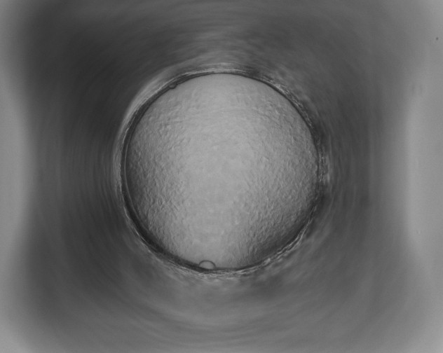 X0000113060004200909041047