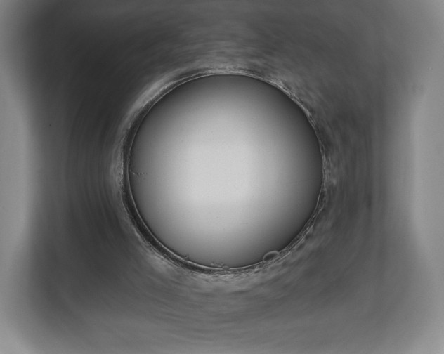 X0000113060005200909041047