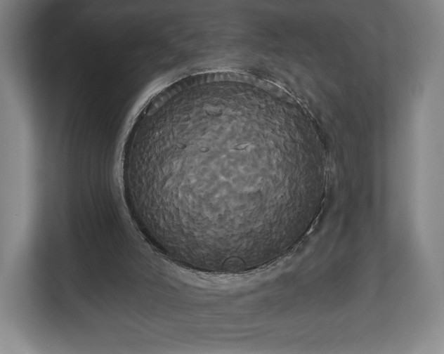 X0000113060006200909041047