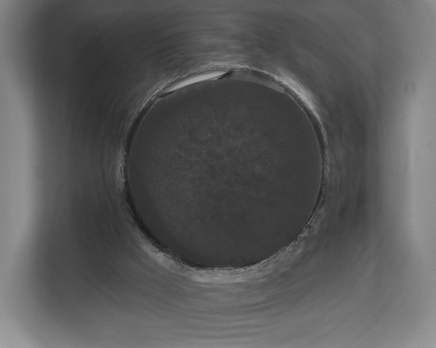 X0000113060009200909041047