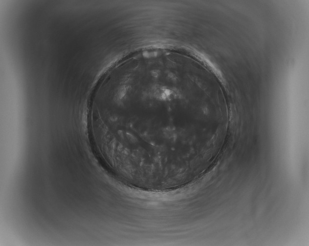 X0000113060010200909041047