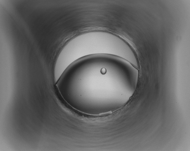 X0000113060013200909041047