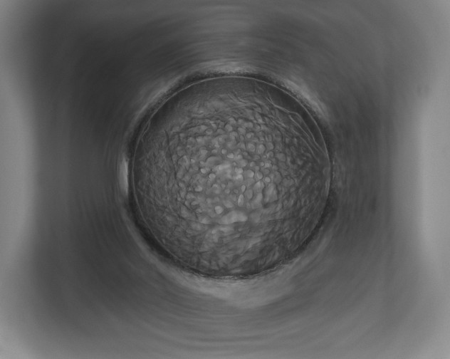 X0000113060014200909041047