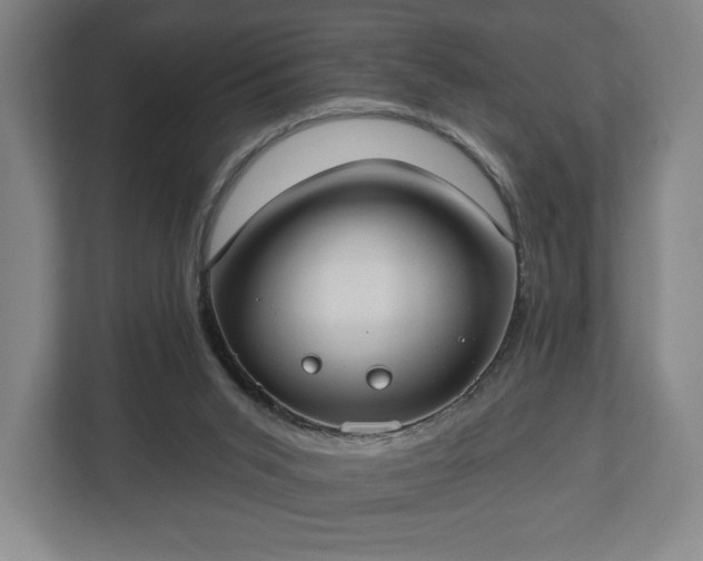 X0000113060015200909041047