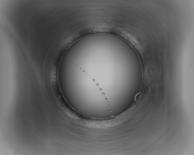 X0000113060017200909041047
