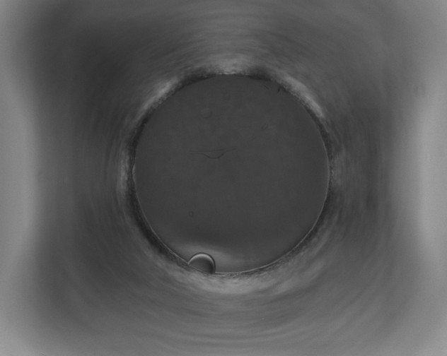 X0000113060018200909041047