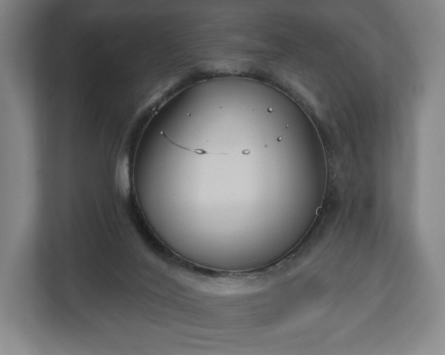 X0000113060020200909041047