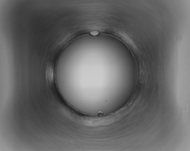 X0000113060021200909041047