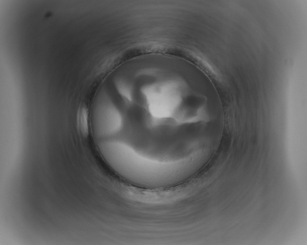 X0000113060022200909041047
