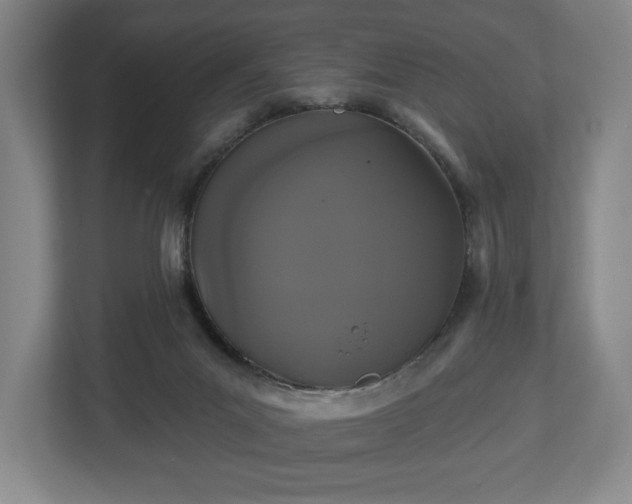 X0000113060023200909041047
