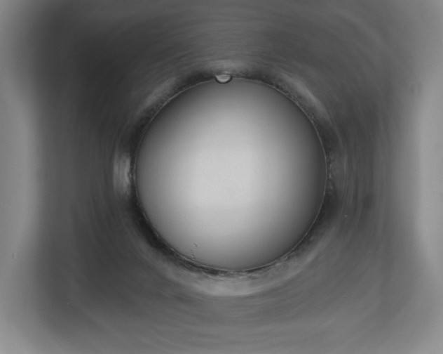 X0000113060024200909041047