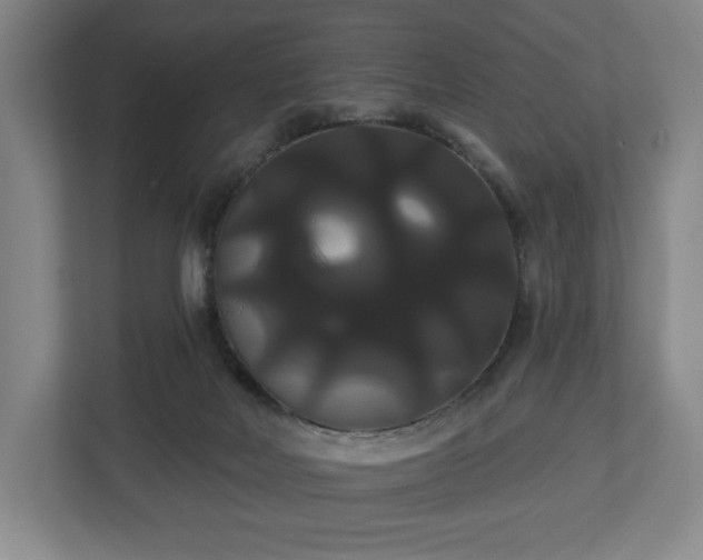 X0000113060026200909041047