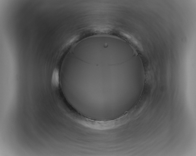 X0000113060027200909041047