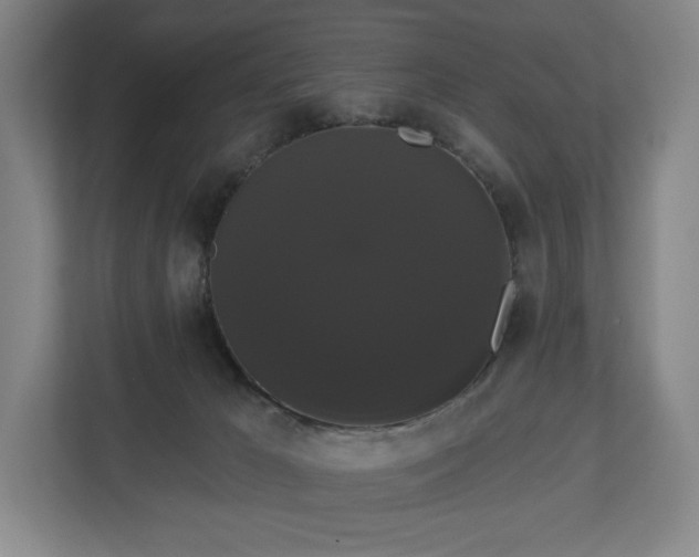 X0000113060029200909041047
