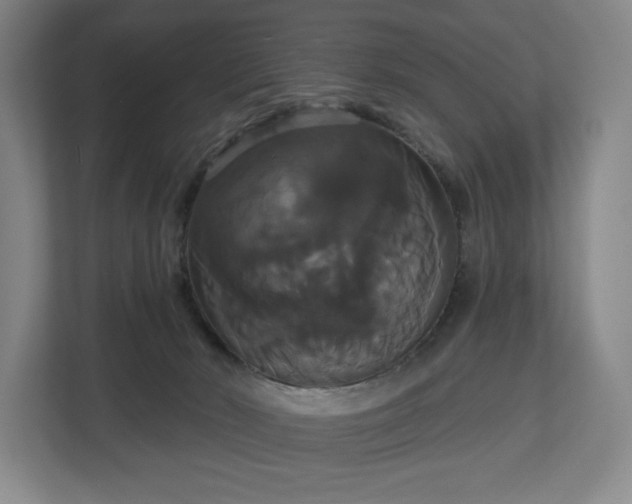 X0000113060030200909041047