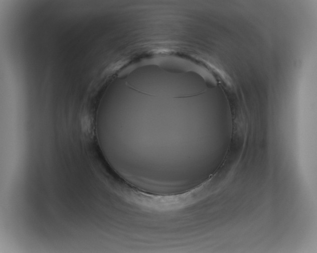 X0000113060031200909041047