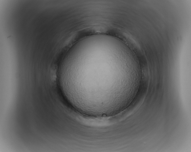 X0000113060032200909041047