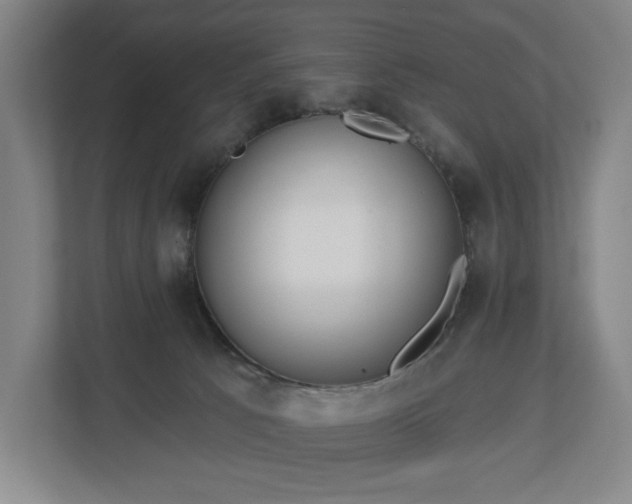 X0000113060033200909041047