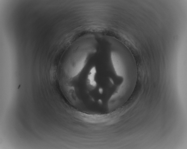 X0000113060034200909041047
