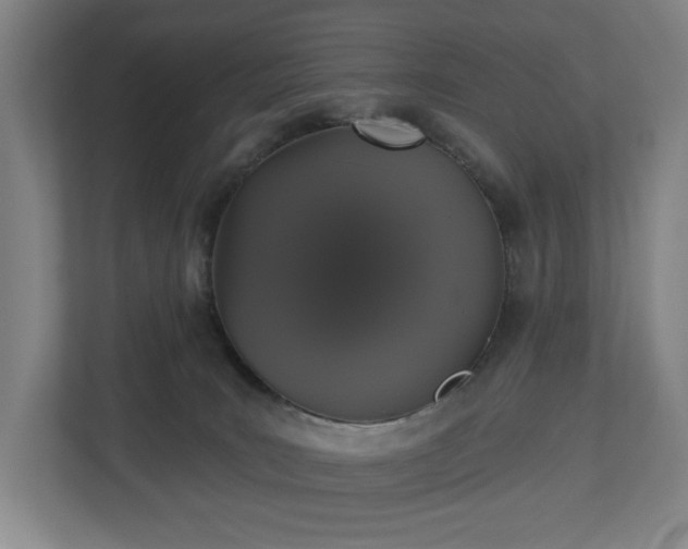 X0000113060035200909041047