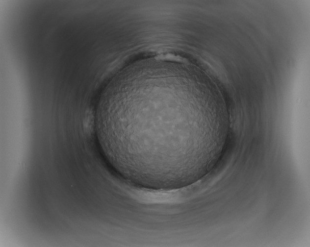 X0000113060036200909041047
