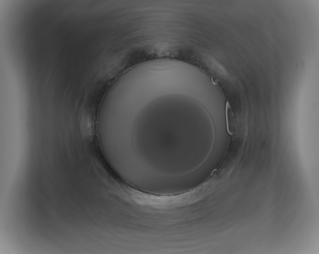 X0000113060039200909041046