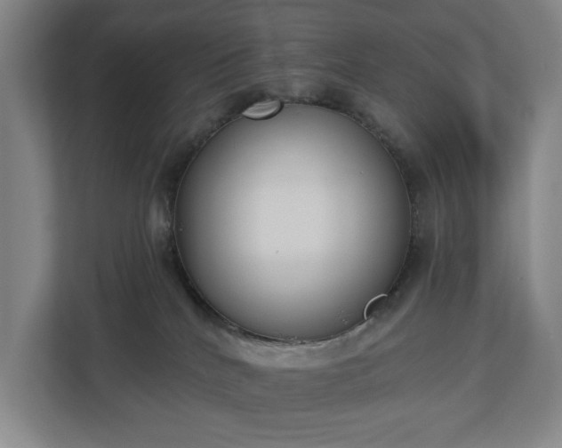 X0000113060040200909041046